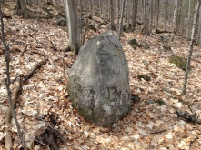 A rare creature; a rock.